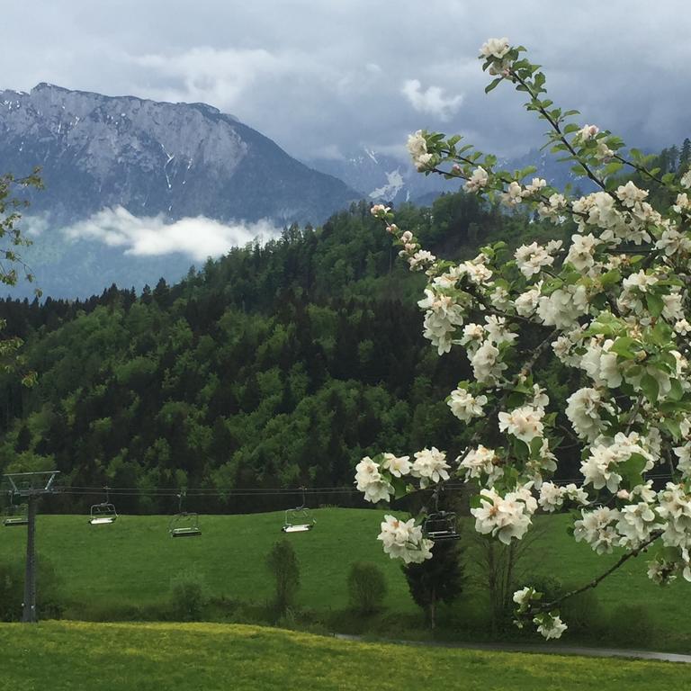 Ferienwohnung Bergschlössl Fewo 28 Oberaudorf Zimmer foto